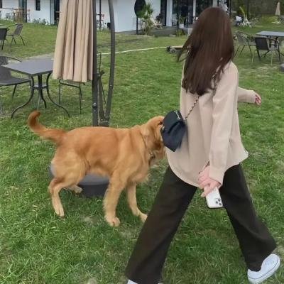 黑暗物质三部曲第二季海报